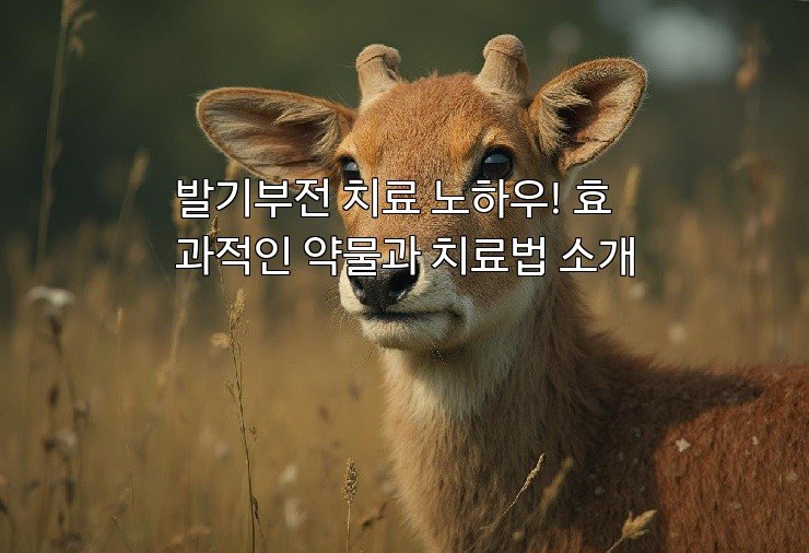 발기부전 치료 노하우! 효과적인 약물과 치료법 소개