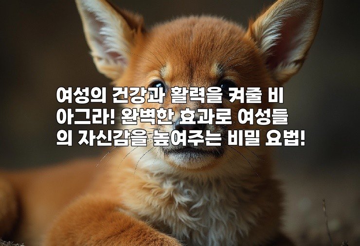 여성의 건강과 활력을 켜줄 비아그라! 완벽한 효과로 여성들의 자신감을 높여주는 비밀 요법!