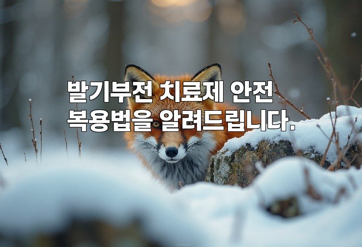 발기부전 치료제 안전 복용법을 알려드립니다.