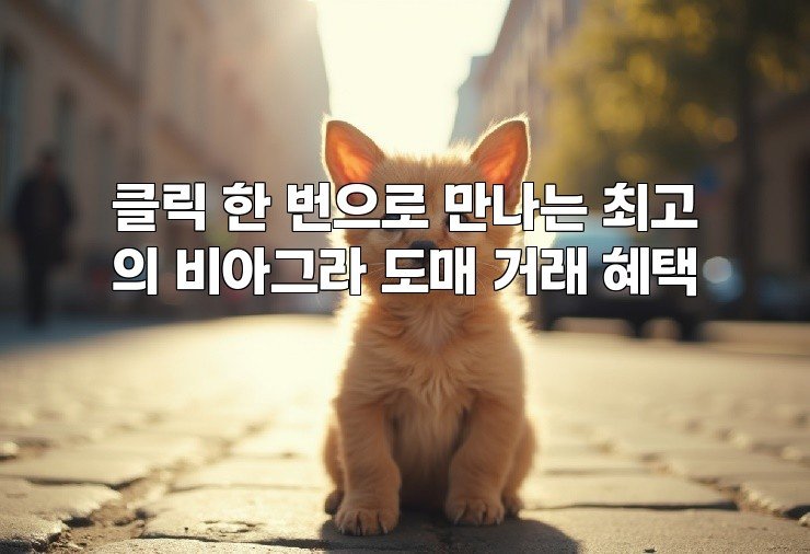 클릭 한 번으로 만나는 최고의 비아그라 도매 거래 혜택