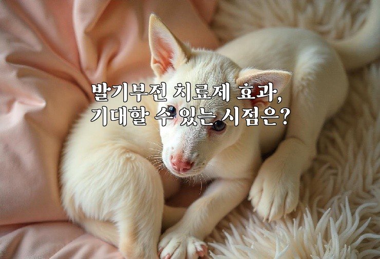 발기부전 치료제 효과, 기대할 수 있는 시점은?