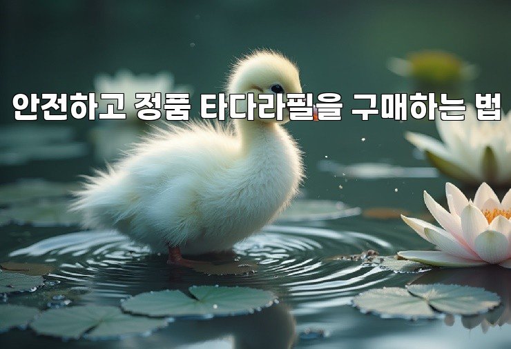 안전하고 정품 타다라필을 구매하는 법