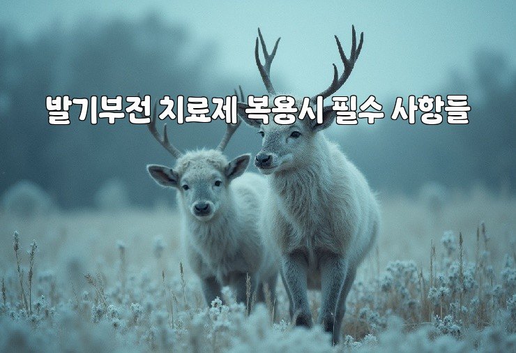 발기부전 치료제 복용시 필수 사항들