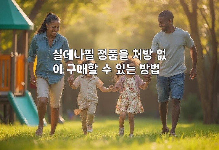 실데나필 정품을 처방 없이 구매할 수 있는 방법